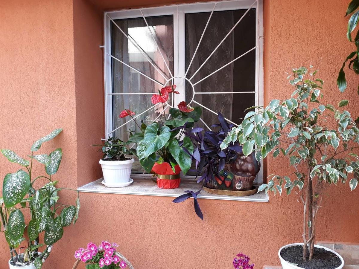 Guest House Yanina Созополь Экстерьер фото